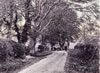 Drumbrochen Farm Road 1890s