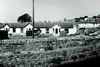 Greenholm Houses 1970